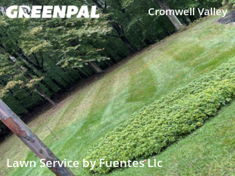 Lawn Mowing Service nearby Towson, MD, 
