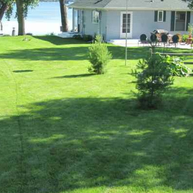 Lawn Care Service in Port Charlotte, FL, 33953