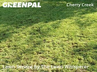 Lawn Cut nearby Elverta, CA, 