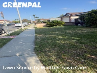 Lawn mowing work completed in Downey, CA