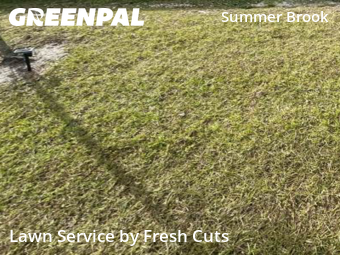 Grass Cutting nearby Melbourne, FL, 