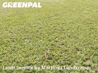 Lawn Maintenance nearby Minneola, FL, 