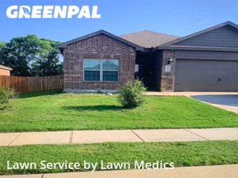 Lawn Mow nearby Princeton, TX, 