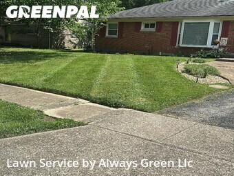 Lawn Maintenance nearby Lexington, KY, 