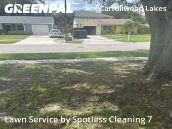 Yard Mowing nearby Tampa, FL, 