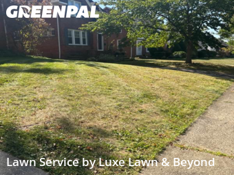 Yard Cutting nearby Cleveland Heights, OH, 