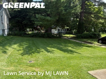 Grass Cutting nearby St. Louis, MO, 