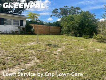 Backyard Mowing in Temple Terrace, 33617, Property Maintenance by Cnp Lawn Care, work completed in Nov , 2025