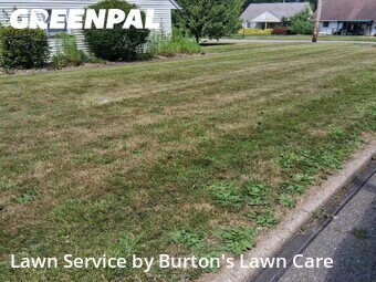Lawn Cutting nearby Youngstown, PA, 