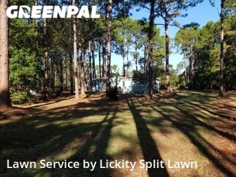 Grass Cut nearby Fernandina Beach, FL, 