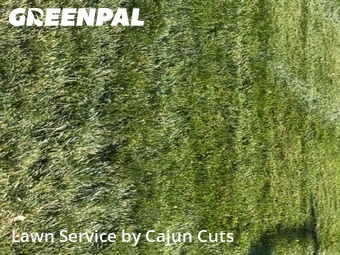 Lawn Mowing nearby Murfreesboro, TN, 