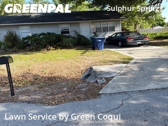 Lawn Cutting nearby Tampa, FL, 