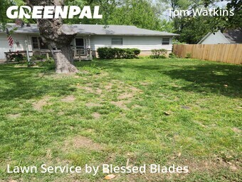 Grass Cutting nearby Springfield, MO, 