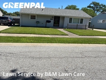 Lawn Cut nearby Highland, IL, 