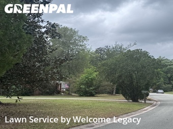 Lawn Maintenance nearby City Of Gainesville Municipal Boundaries, FL, 