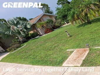 Grass Cut nearby Port Charlotte, FL, 