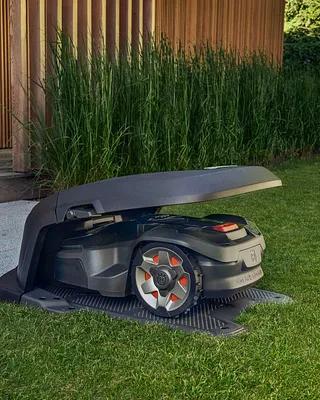 Beach Lawn and Garden Photo 17