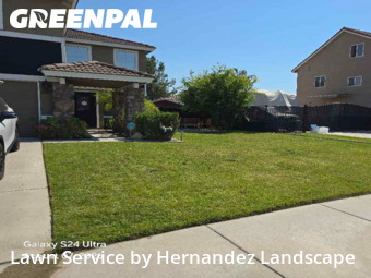 Work completed by yard-maintenance-professionals-in-Murrieta-CA