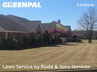 Lawn mowed in Cordova, 38018