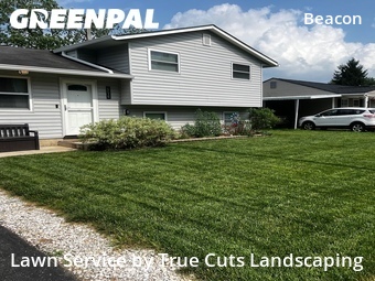 Yard Cutting nearby Hilliard, OH, 