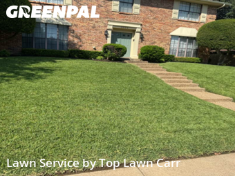 Grass Cuttingin Grapevine,76051,Yard Mowing by Top Lawn Carr, work completed in Jan , 2026