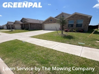 Lawn Mow nearby Forney, TX, 