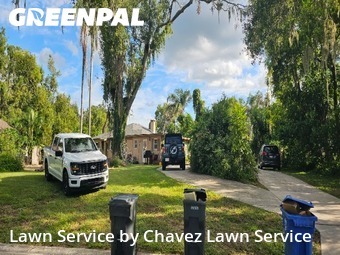 Grass Cut nearby Valrico, FL, 