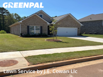 Lawn Maintenance nearby Harvest, AL, 