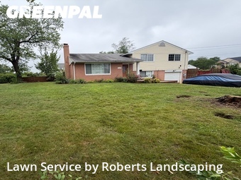 Lawn Cut nearby Springfield, VA, 