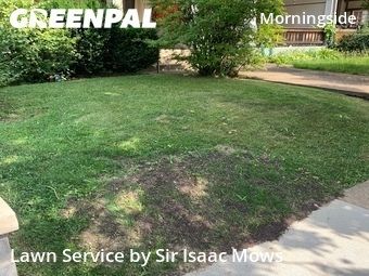 Lawn Cut nearby Pittsburgh, PA, 