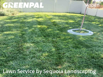 Yard Management in Orem, 84057, Backyard Mowing by Sequoia Landscaping, work completed in Nov , 2025