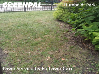 Lawn Cut nearby Chicago, IL, 