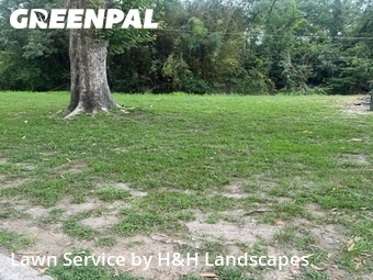 Landscaping Installation Savannah,31406,Landscaping Cleanup by H&H Landscapes, work completed in Jun , 2026