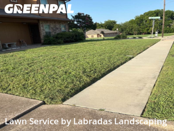 Lawn Cut nearby Mc Kinney, TX, 