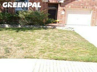 Lawn Care nearby San Antonio, TX, 