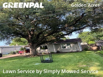 Landscaping In Pasadena,77503,Landscaping Maintenance by Simply Mowed Service, work completed in Jul , 2026