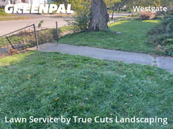 Lawn Upkeep in Columbus, 43204, Yard Care by True Cuts Landscaping, work completed in Oct , 2025