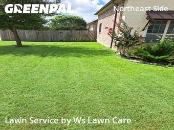 Lawn Mowing Service nearby Schertz, TX, 