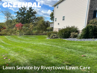 Yard Cutting nearby Beaver, PA, 