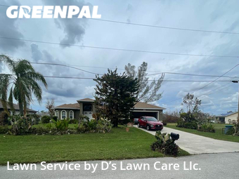 Lawn Cut nearby Cape Coral, FL, 