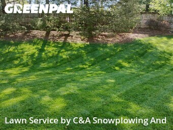 Yard Cutting nearby Mundelein, IL, 