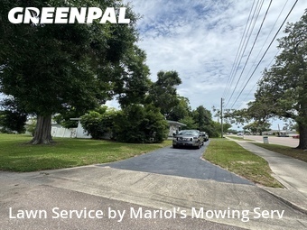 Lawn Cutting nearby Clearwater, FL, 