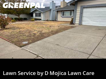 Lawn Maintenance nearby Sacramento, CA, 