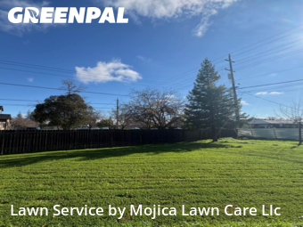 Work completed by local-landscaping-services-in-Carmichael-CA