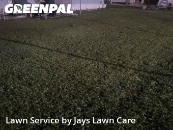 Lawn Carein Davie,33325,Lawn Cut by Jays Lawn Care, work completed in Nov , 2025