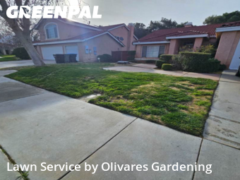 Landscaping Services In Palmdale,93551,Landscaping by Olivares Gardening , work completed in Feb , 2026