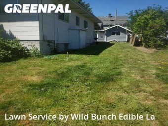 Lawn Cutting nearby Tacoma, WA, 