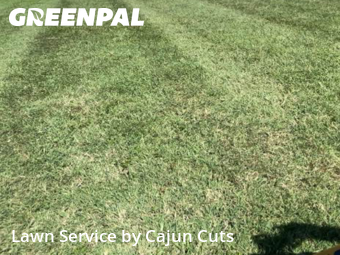 Lawn Care nearby Murfreesboro, TN, 