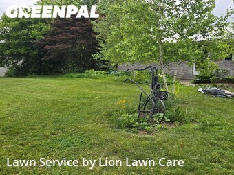 Grass Cut nearby Springfield, OH, 