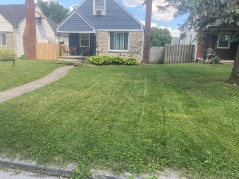 Beyond The Trees Lawn Care Services in Columbus, OH